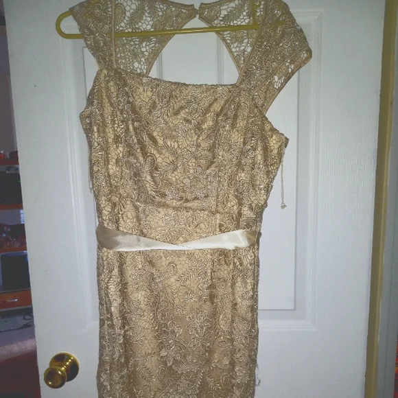 Adrianna Papell | Dresses | Adrianna Papell Kids Size Lace Dress Holiday  Dress | Poshmark